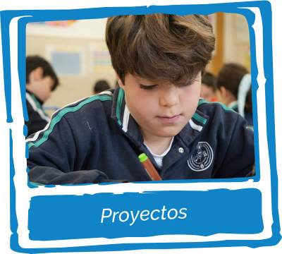 20230322-primaria-proyectos-02-800×720